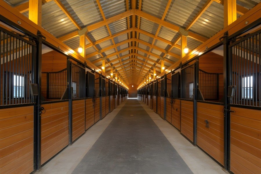 Equestrian Lighting
